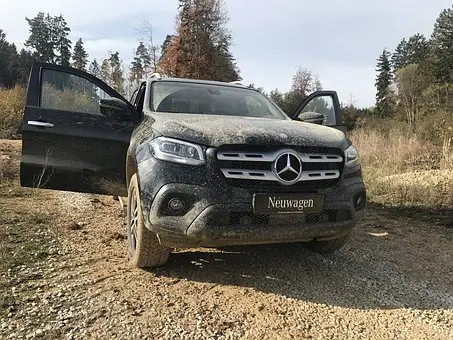 Bug-And-Tar-Removal--in-Camp-Nelson-California-bug-and-tar-removal-camp-nelson-california.jpg-image