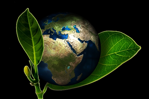 Eco-Friendly-Hand-Wash--in-Watsonville-California-eco-friendly-hand-wash-watsonville-california.jpg-image
